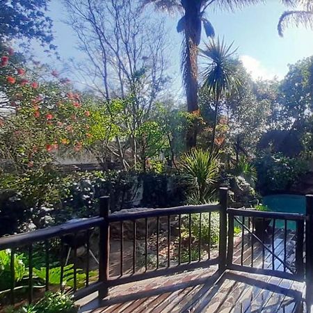 Pantera Lodge & Cheetah Cottage โจฮันเนสเบิร์ก ภายนอก รูปภาพ